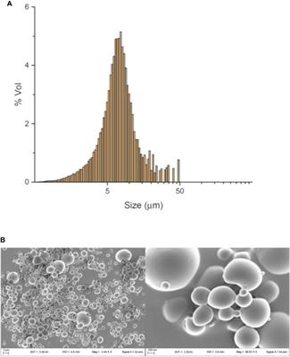 In “Vitro” Lps-Stimulated Sertoli Cells Pre-Loaded With Microparticles: Intracellular Activation Pathways